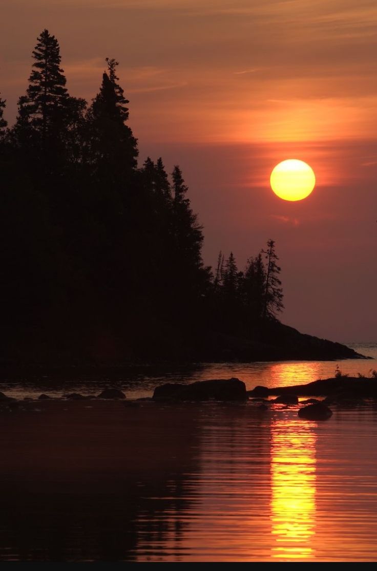 Nature Pics (@naturepicsc) on Twitter photo 