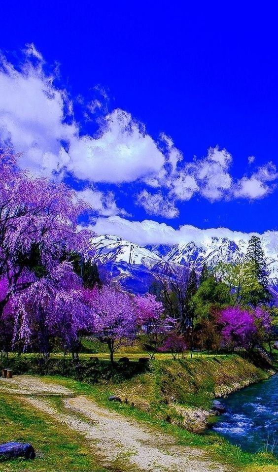 Nature Pics (@naturepicsc) on Twitter photo 