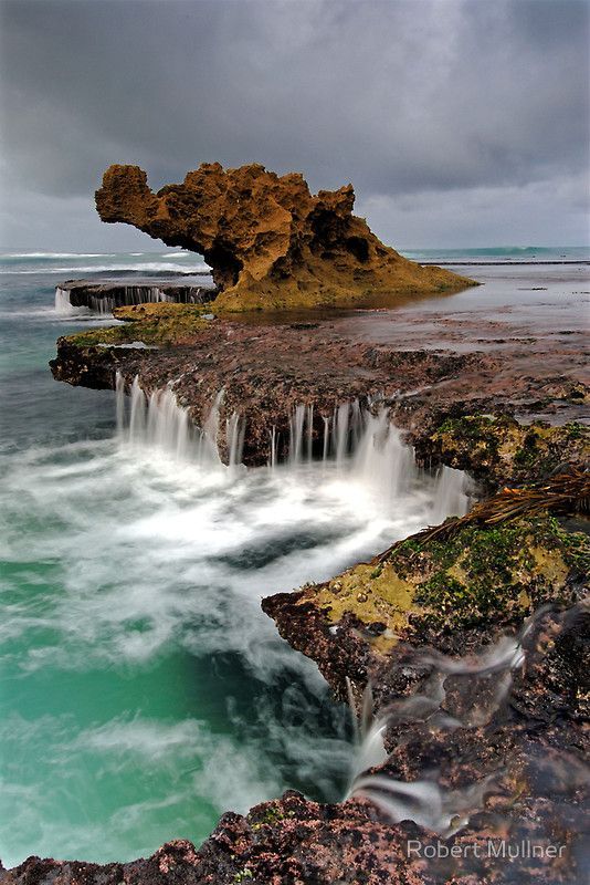 Nature Pics (@naturepicsc) on Twitter photo 