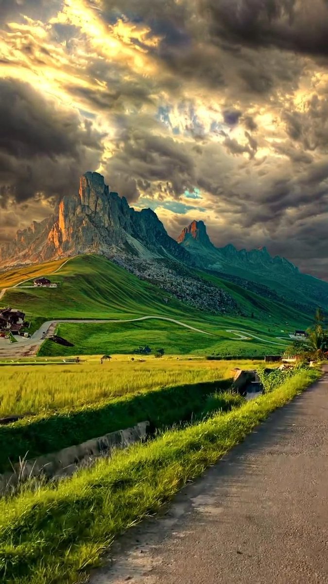 Nature Pics (@naturepicsc) on Twitter photo 