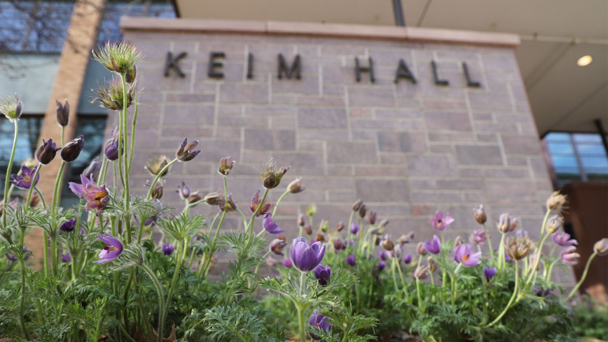 unlagrohort's tweet photo. SAVE THE DATE: Agronomy &amp; Horticulture Impact Conference March 3–4, 2026, at Nebraska Innovation Campus. #UNLAgroHort will celebrate, share ideas and shape the future of ag and horticulture in Nebraska and beyond. ›› https://t.co/HAXh3Evuuz #UNL #IANR #NebExt #ThisisCASNR https://t.co/EmK98B51Ht