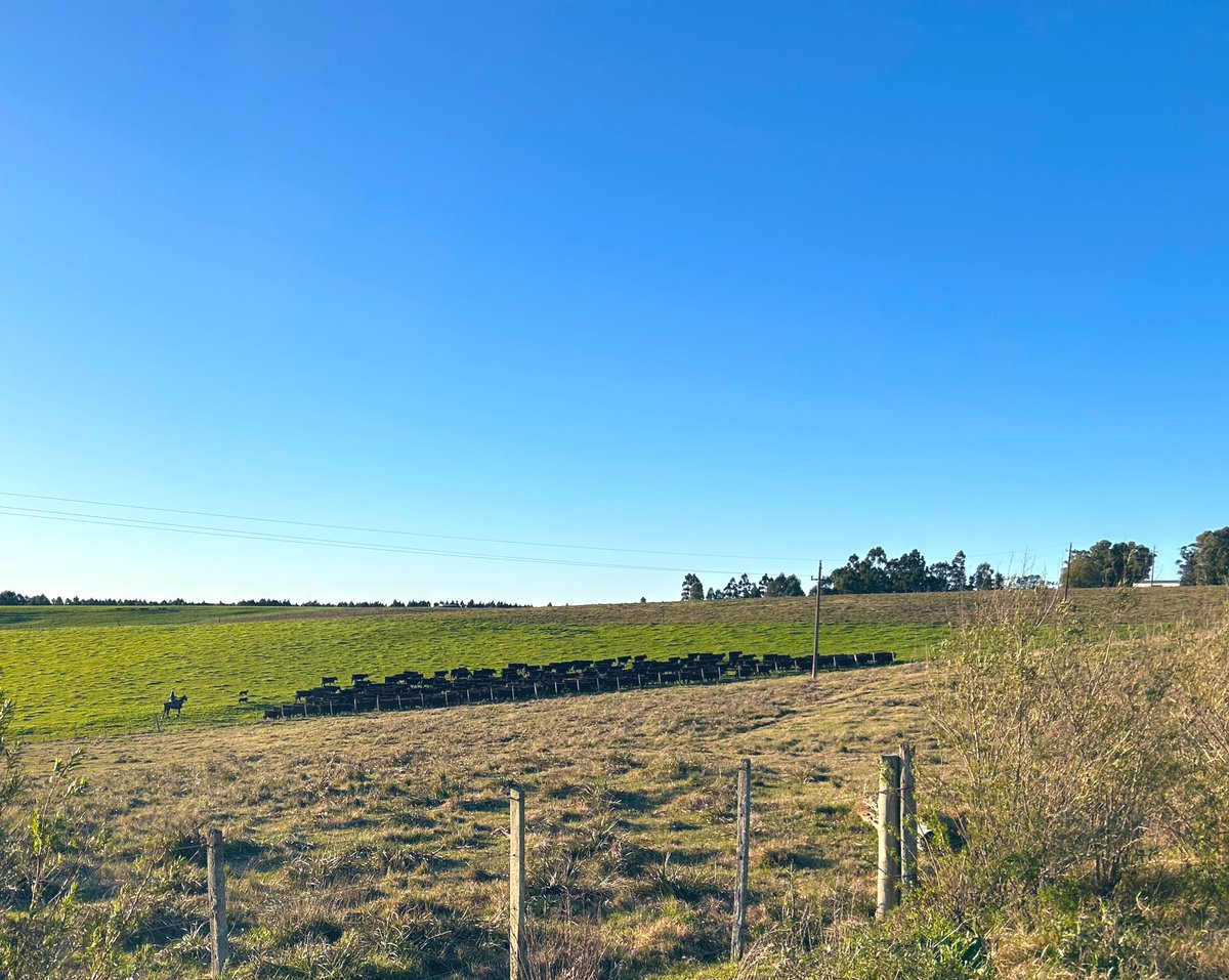 Domingo de ruta por Florida y Canelones para visitar amigos. Qué lindo es el interior uruguayo. 🇺🇾🚙🇬🇧🚞