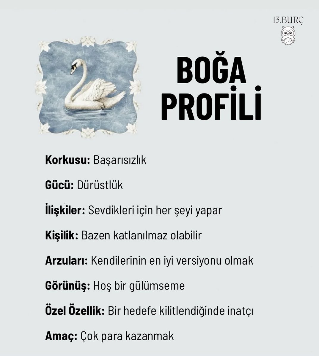BOĞA PROFİLİ