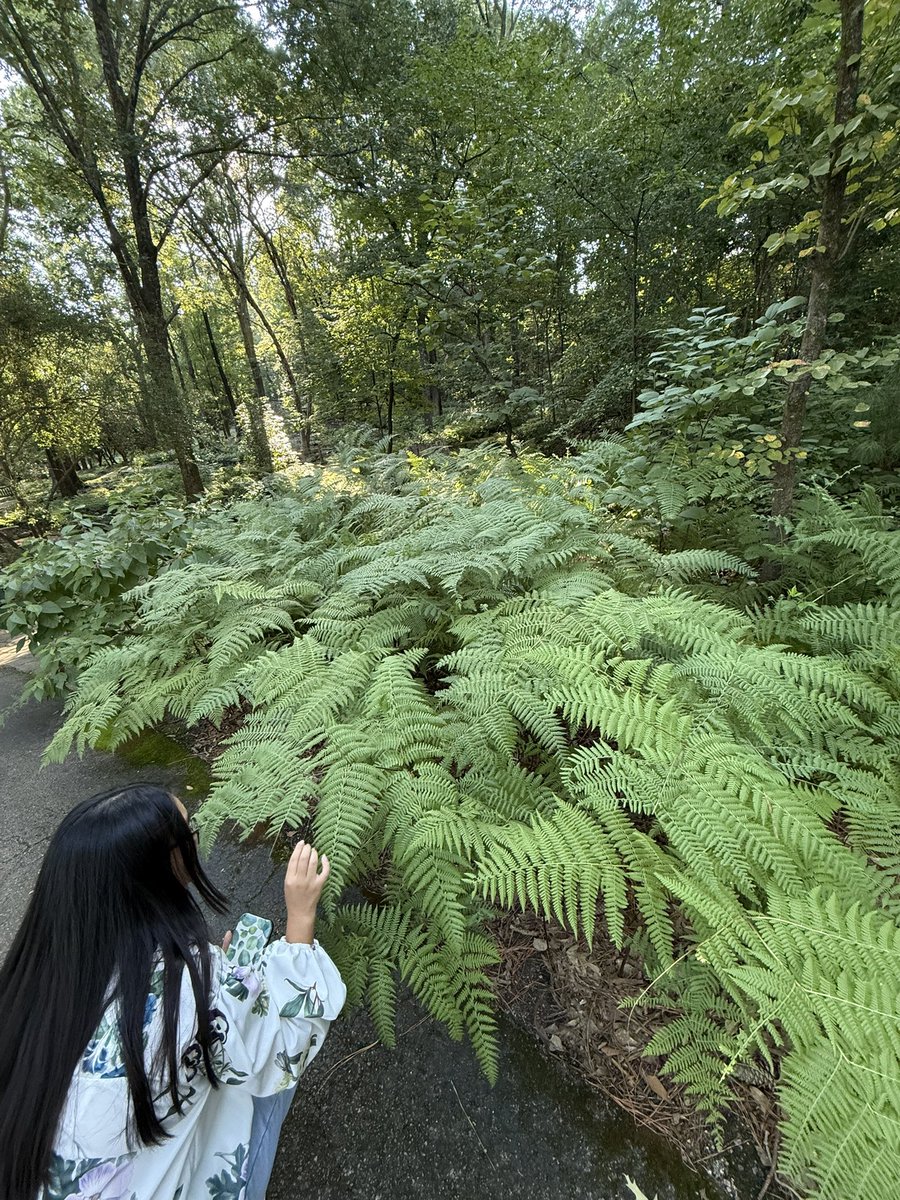 7Swish's tweet image. pov