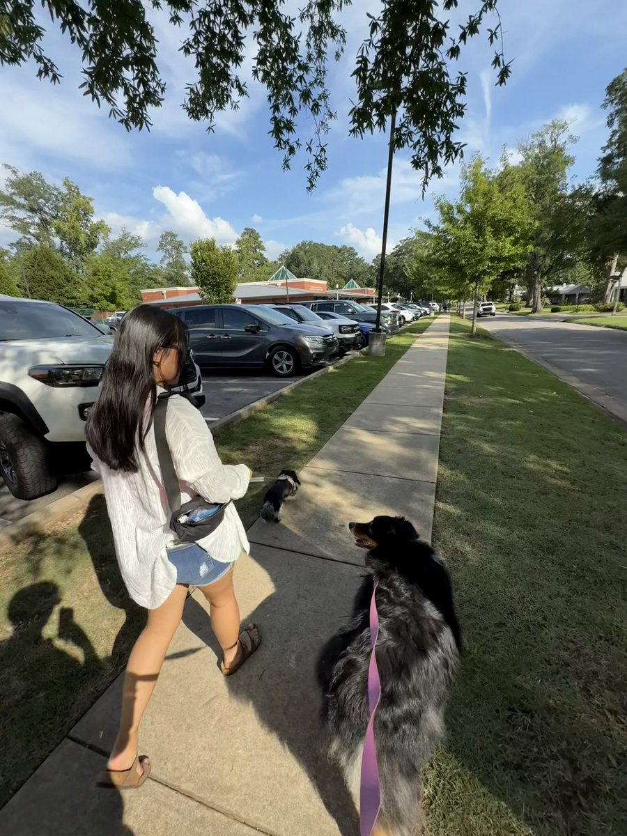 7Swish's tweet image. pov