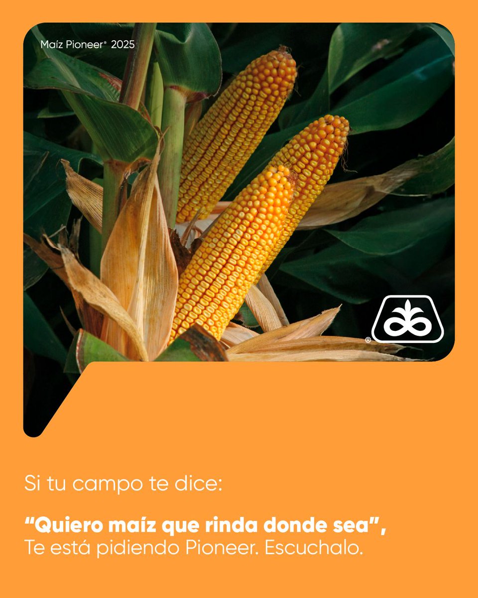 Los maíces Pioneer te dan estabilidad y rendimiento, pase lo que pase. Tu campo te pide Pioneer, escuchalo.