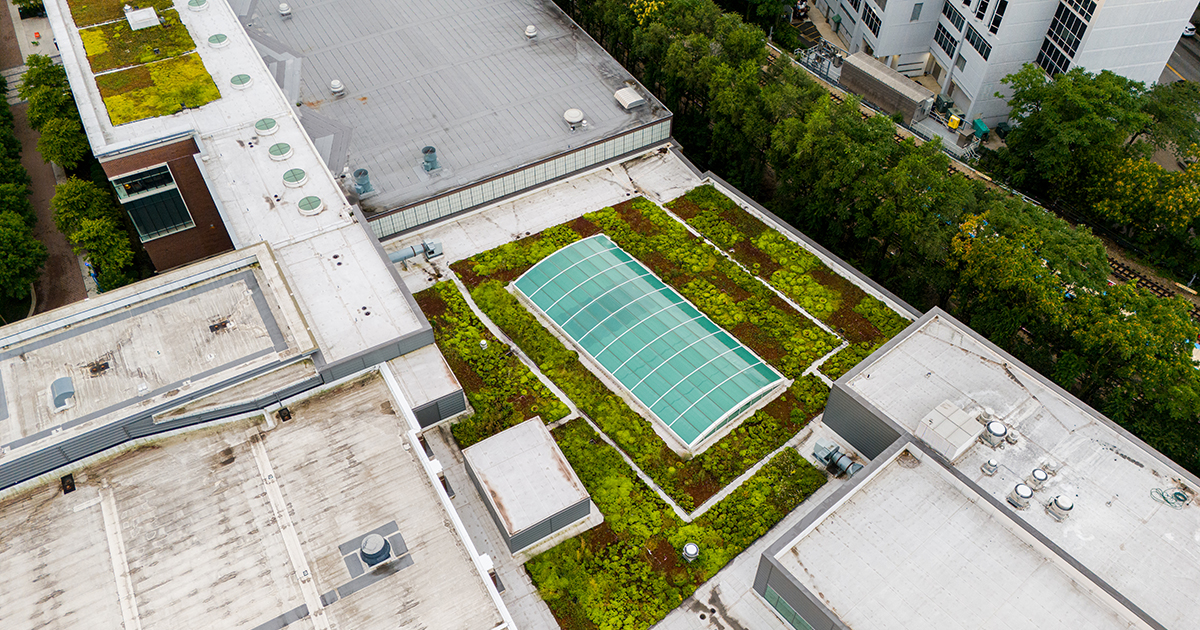 Loyola's campuses include green roofs, rain gardens, permeable paving, and other green infrastructure. These features reap massive environmental dividends. Learn more: bit.ly/4oLFoer