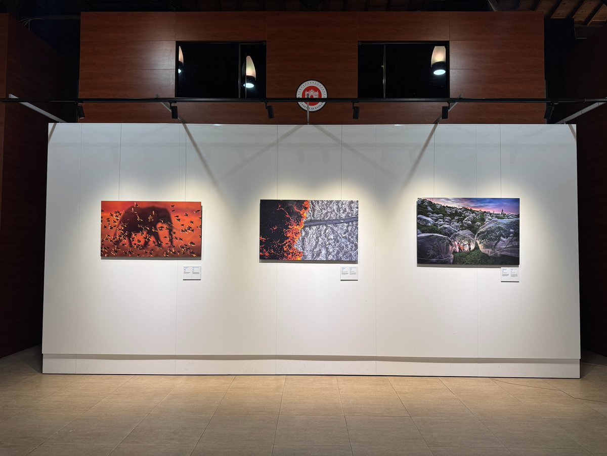 Uluslararası haber fotoğrafı yarışması İstanbul Photo Awards 2025'in (<a href="/IstPhotoAwards/">İstanbul Photo Awards</a>) ikinci sergisi Dolmabahçe Sanat Galerisi'nde açıldı.

Sergiyi, 7 Eylül'e kadar ziyaret edebilirsiniz.

v.aa.com.tr/3669169

#AnadoluAjansı
#İstanbulPhotoAwards2025