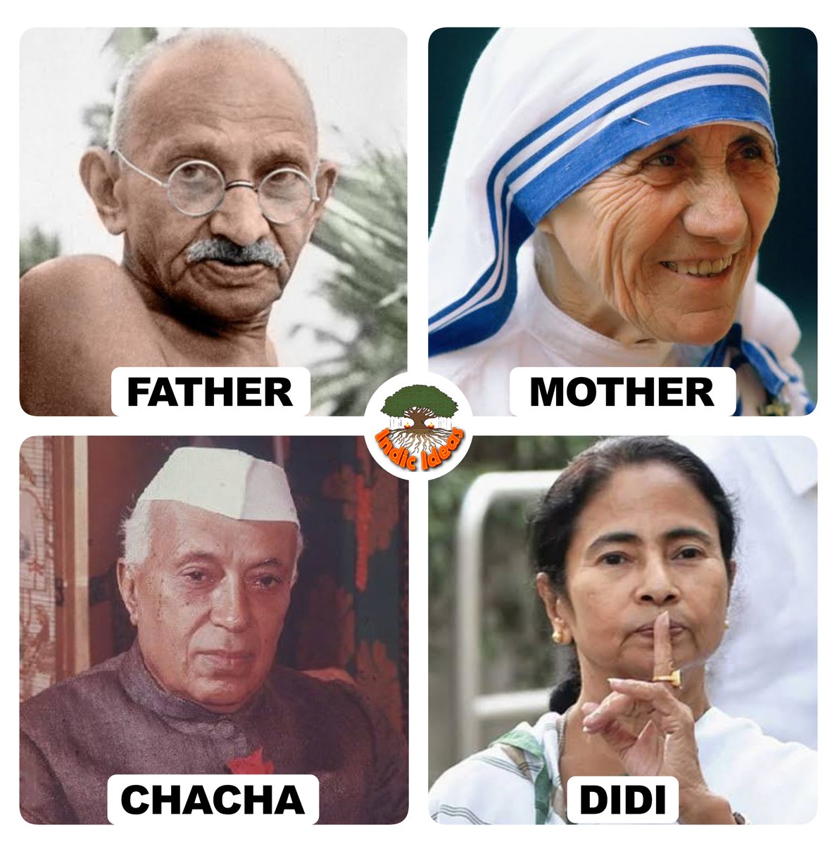 The Great Indian Family