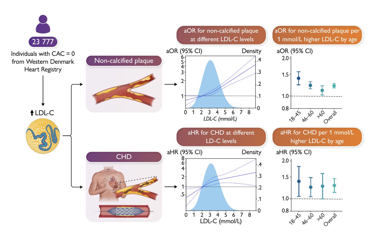 Juan Pablo Costabel MD 🇦🇷 tweet media
