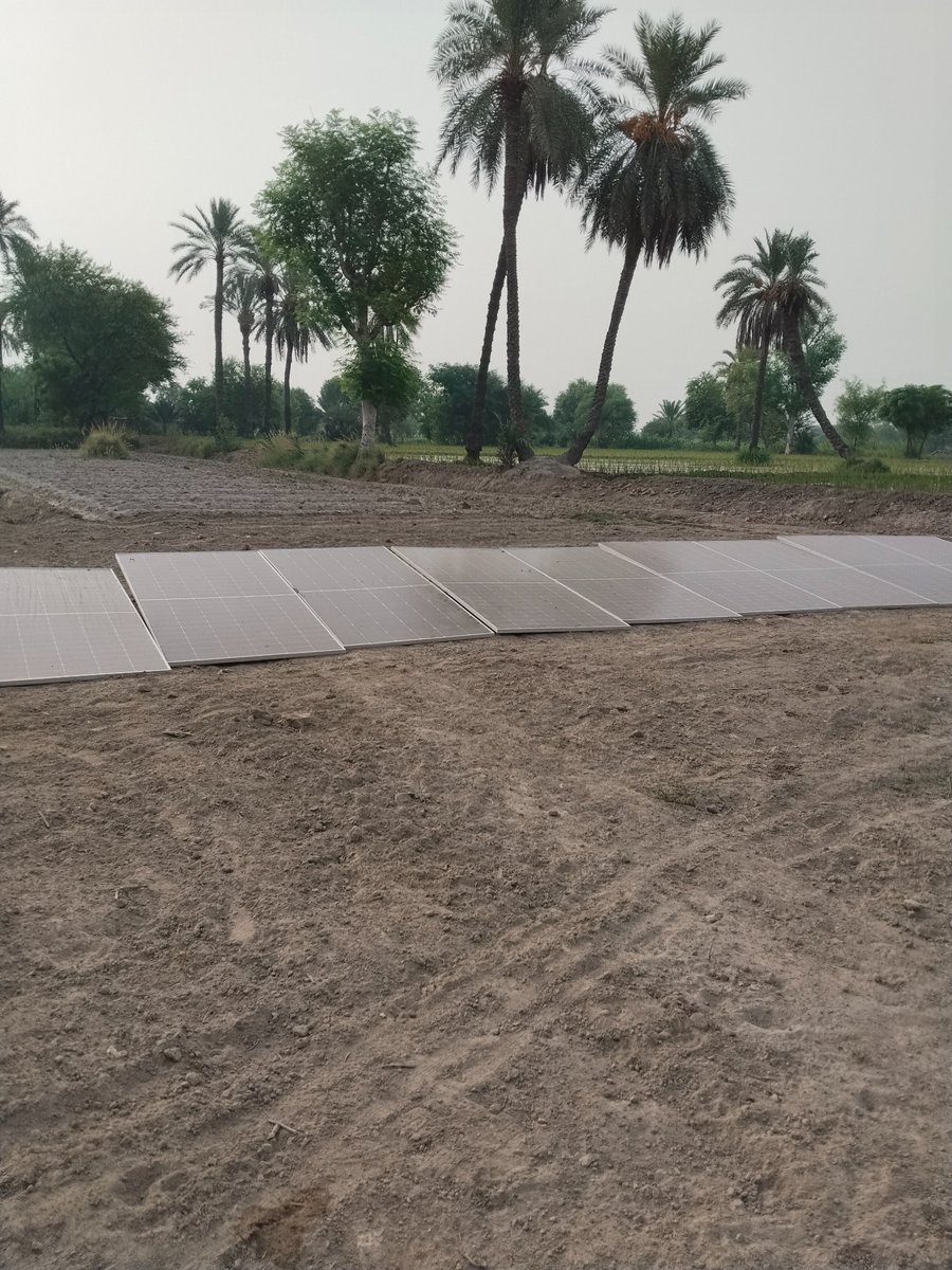 Kristen Babovec, Ed.D. (@runnergirl70) on Twitter photo 