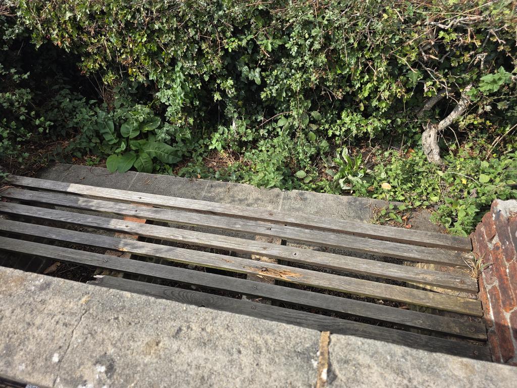 Samliles's tweet photo. @TWellsCouncil 
Bench on Bidborough ridge was always a lovely place to sit and enjoy the view, now it's over grown with weeds and the view is obstructed with brambles... needs attention 😪 https://t.co/C1dwkv6AFq