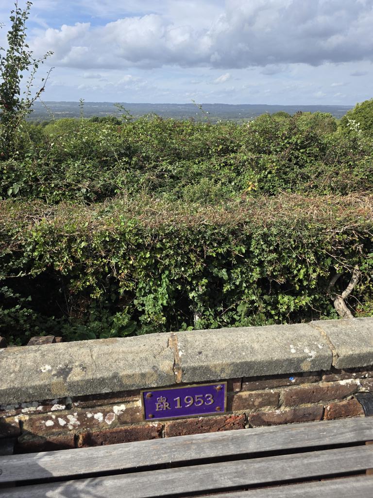 Samliles's tweet photo. @TWellsCouncil 
Bench on Bidborough ridge was always a lovely place to sit and enjoy the view, now it's over grown with weeds and the view is obstructed with brambles... needs attention 😪 https://t.co/C1dwkv6AFq