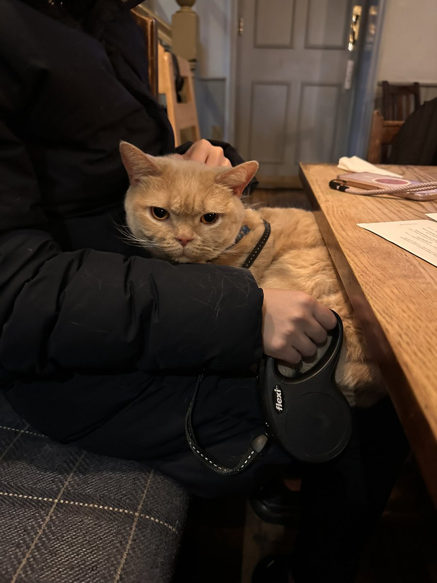 Happy National Dog Day! We’re not just dog friendly, we’re dog encouraged 🐶 so bring your four-legged pals in for belly rubs, treats, and tail wags! 

Pints for humans, pats for the pups- join us soon! 🐕🐾🍻🍻
