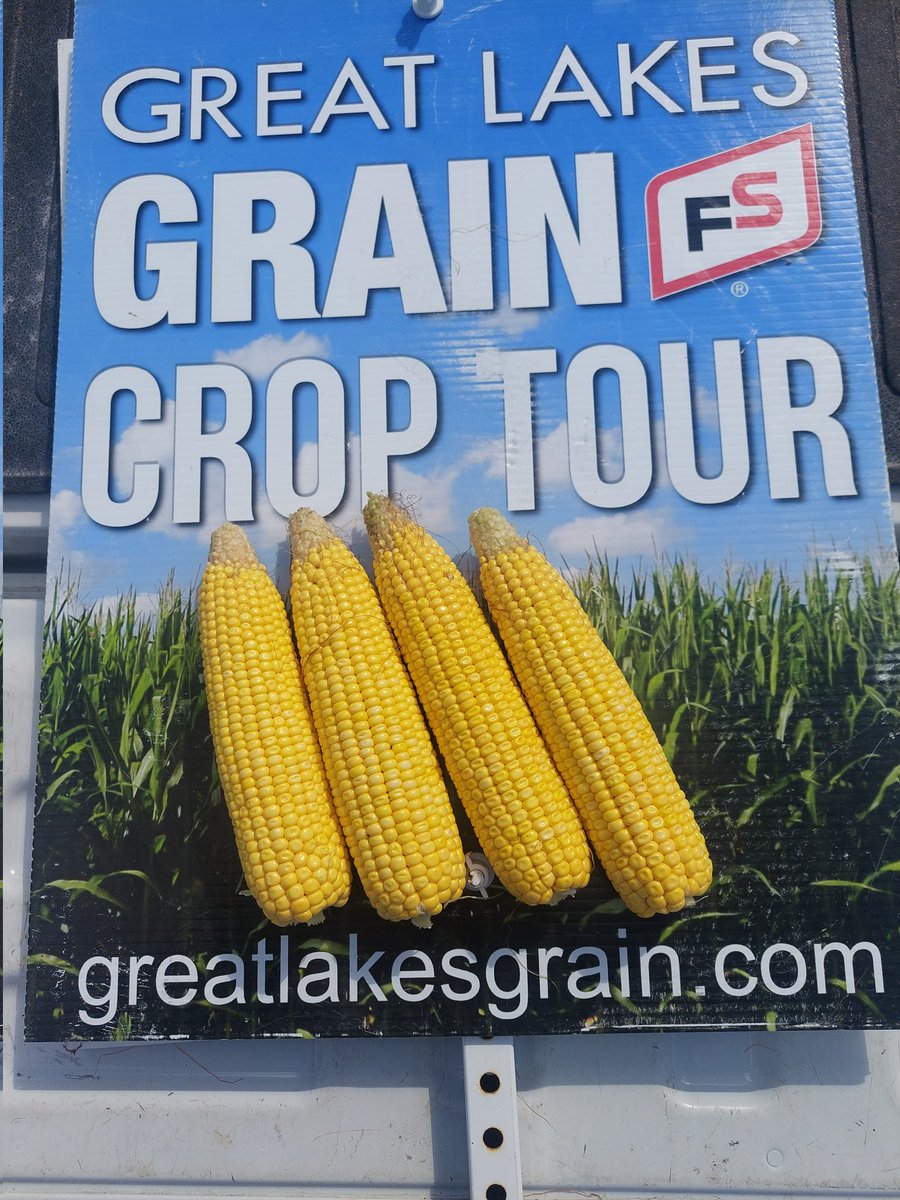 heather miller tweet media