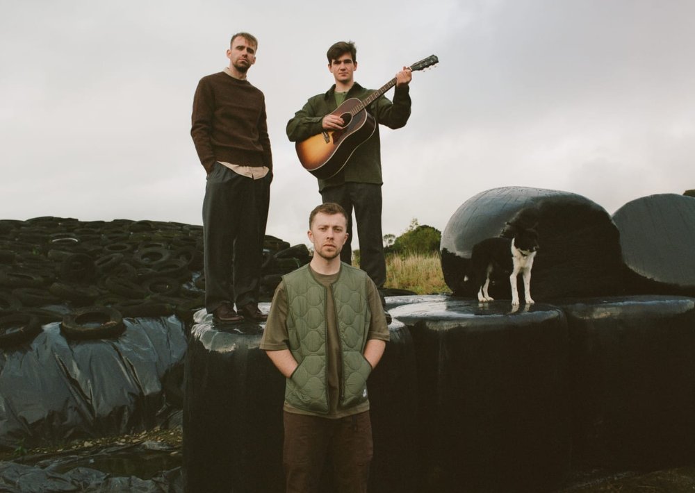 Irish three-piece Kingfishr (<a href="/KingfishrBand/">Kingfishr</a>) expect their first-ever Albums Chart entry with #Halcyon this week ❤️

Read more: officialcharts.com/chart-news/wol…

#Kingfishr
