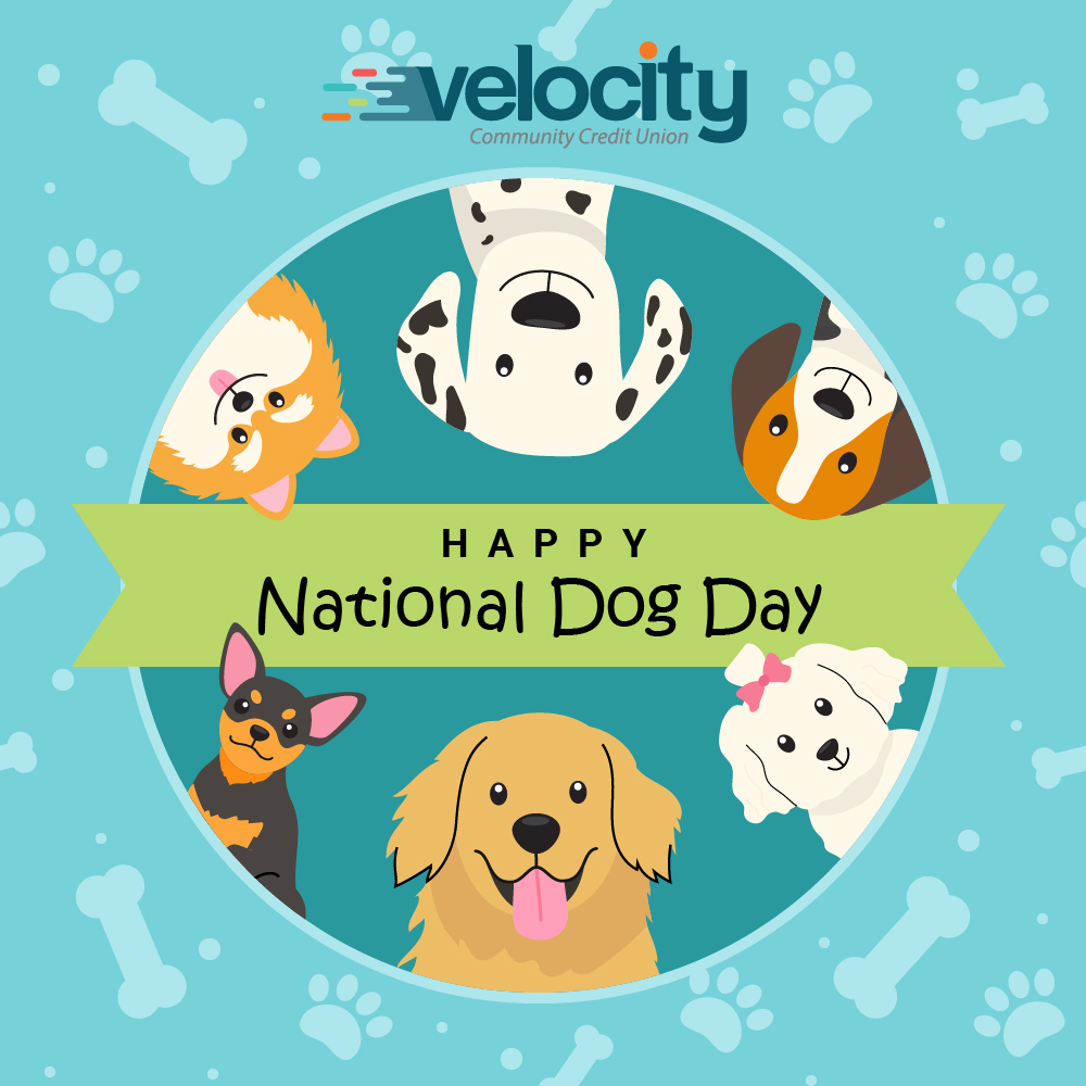 🐾 Happy National Dog Day! 🐾

Share a photo of your dog in the comments or tag us in your post.
We want to see those floppy ears, happy tails, and goofy grins!

#NationalDogDay #VelocityCCU #Pawfect #DogsOfVelocity #PalmBeach