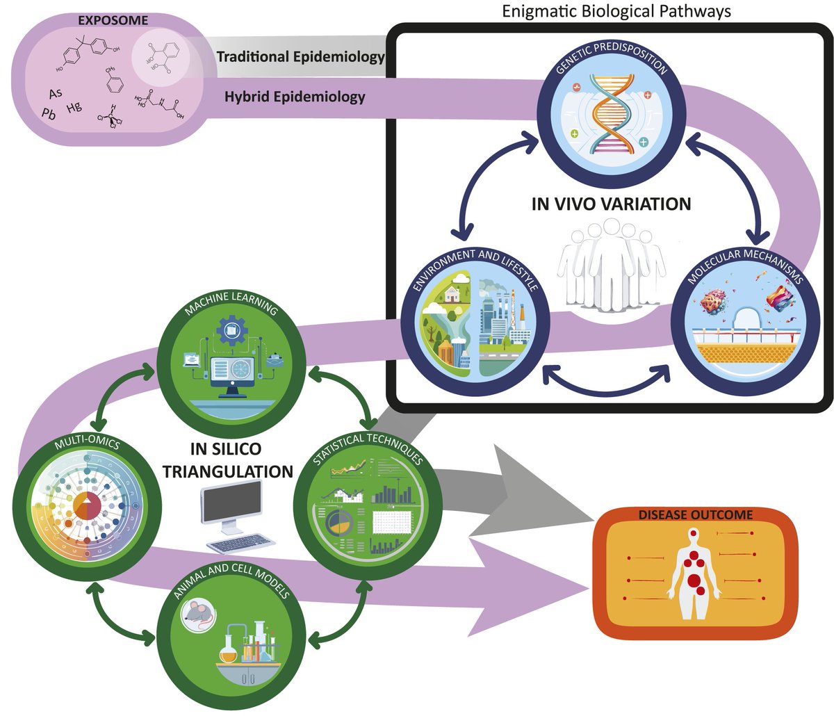 Cambridge Prisms tweet media