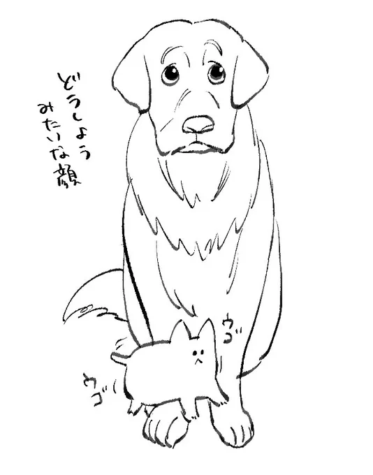 #世界犬の日 
YouTubeでたまに見る、子猫に絡まれて動けずどうしようみたいな顔してるデカイーヌからしか摂取できない栄養がある 