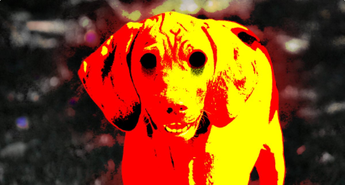 SweetSenninGame's tweet photo. If you see the dog, don’t look away.
If you don’t see the dog, don’t scroll down.
If you keep reading… it’s already too late.

Play Smile Dog now. Steam link in comments. https://t.co/uYv6A8dRuS