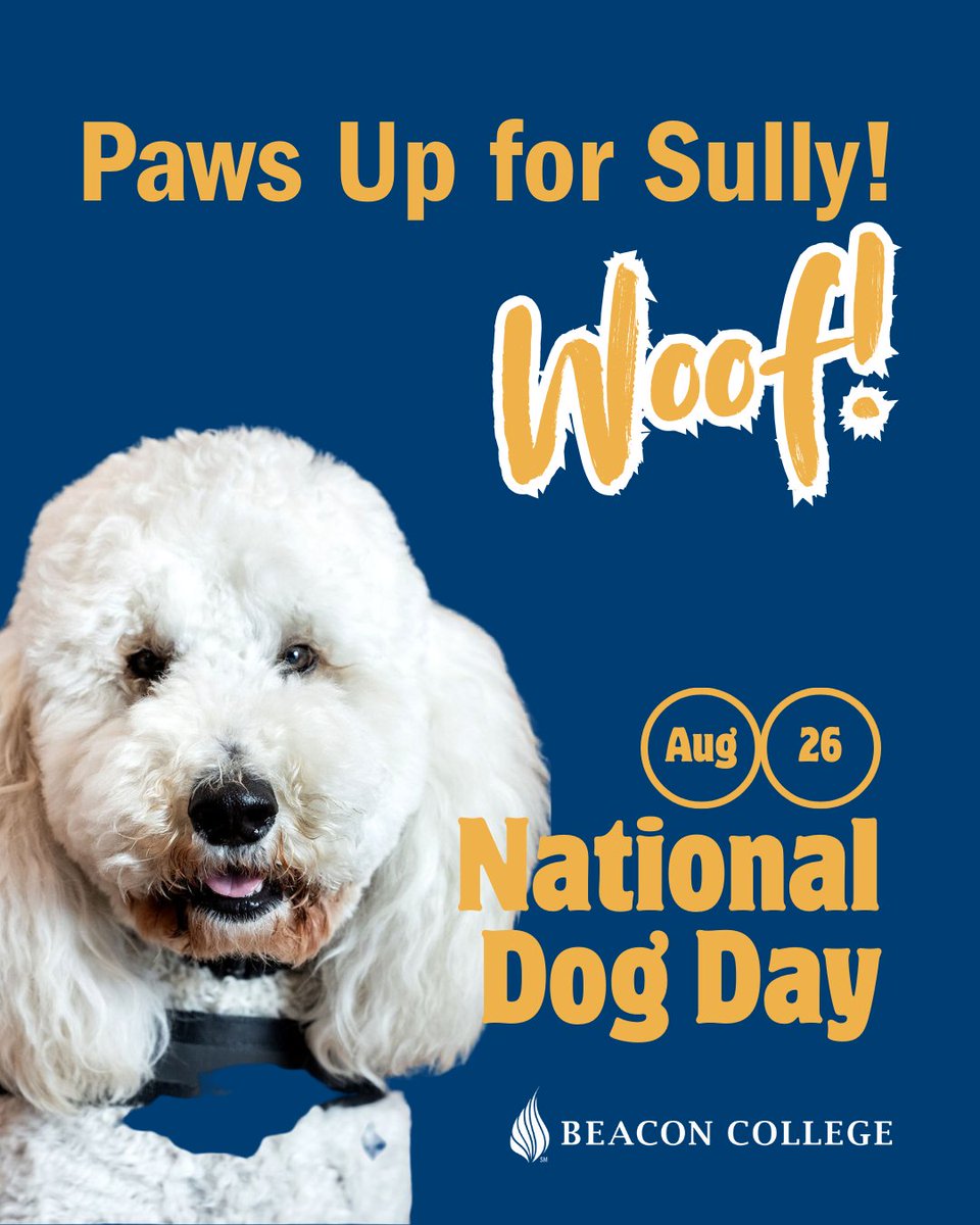 beacon_college's tweet photo. Happy National Dog Day! 🎉🐾

Today we celebrate all the pups who bring joy, comfort, and unconditional love into our lives—especially our very own Sully, Beacon's emotional support superstar! 🐶

#NationalDogDay #EmotionalSupportDog #ThisIsBeacon #learningdifference https://t.co/INeozlVRsq