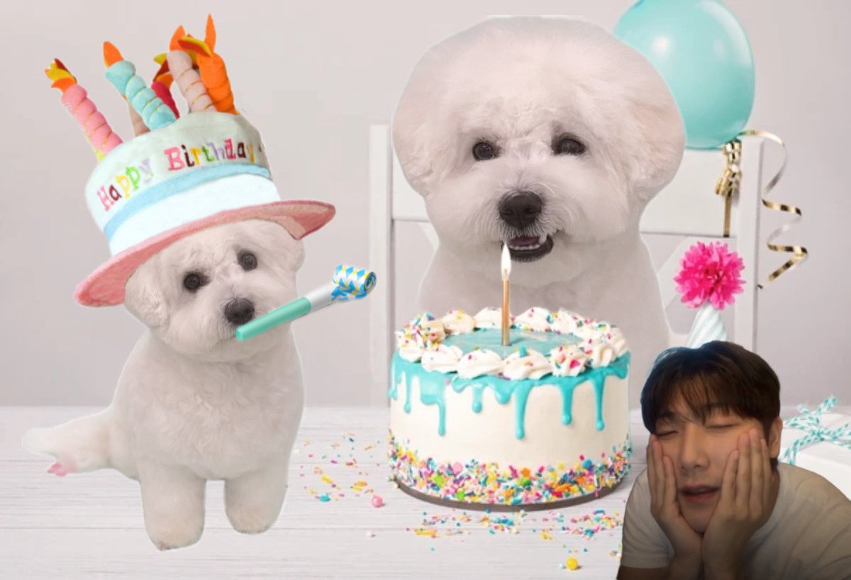 hmjyoo's tweet photo. Happiest 1st birthday to monggeul! I hope you have an amazing party with your sangwon 아빠 ! 

아 예뻐~

#예쁜_하얀_솜뭉치_몽글
#Pretty_White_Fluffball_Monggeul 
#Happy_Monggeul_Day #몽글 https://t.co/lPa8pKtrJG