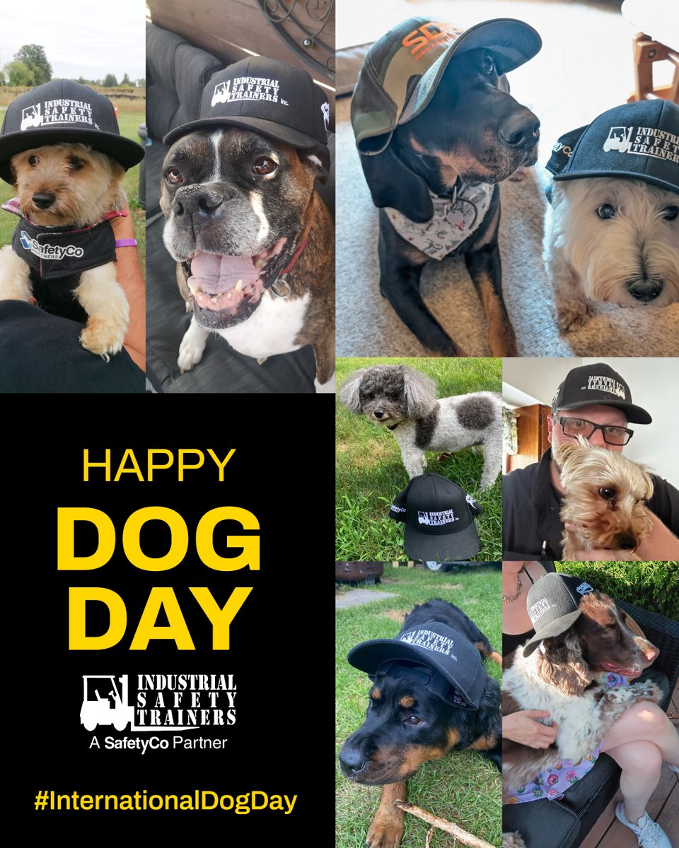 🐶 Safety's best friend!

Dogs instinctively protect their pack - staying alert and looking out for each other. The best safety teams do the same thing.

Happy #InternationalDogDay from our pack to yours!