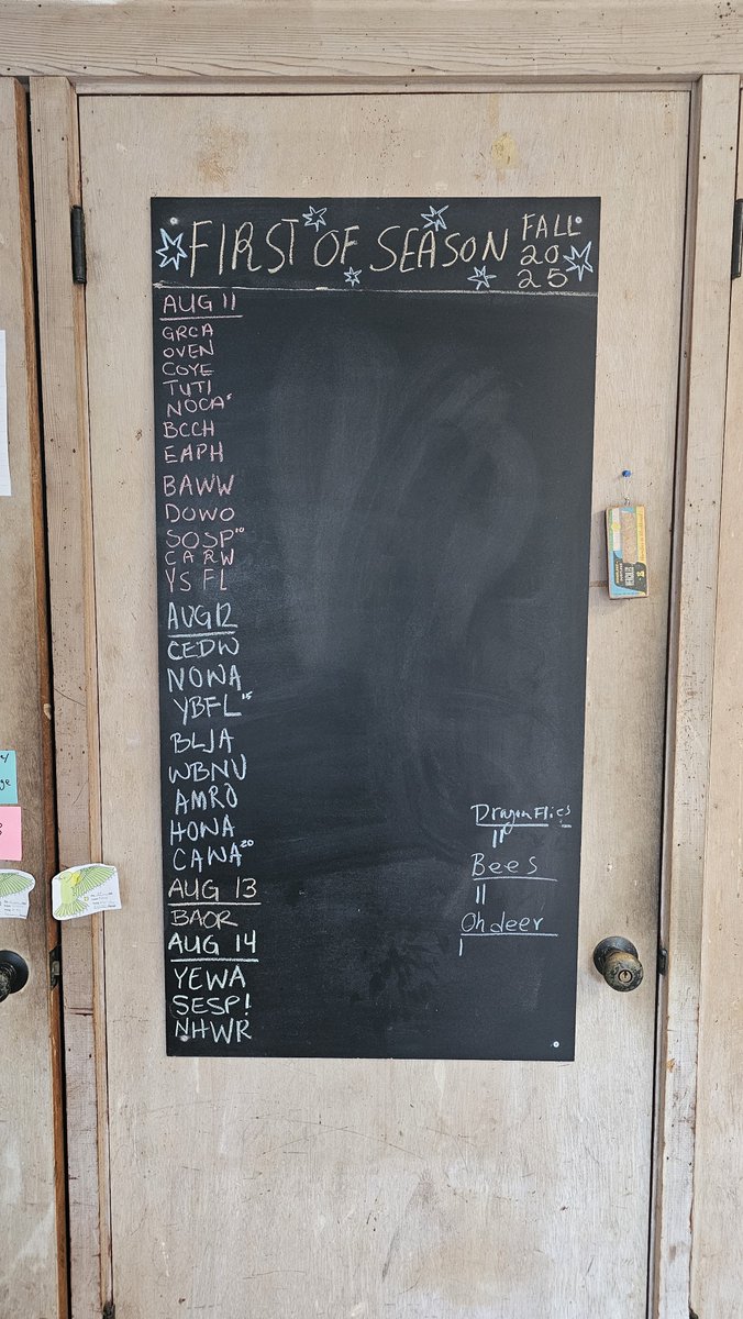 ManometCenter's tweet photo. Fall Banding Season is here! No one was surprised to find that the #1 bird this banding season was a hatch-year Gray Catbird! They’re a beloved species here at Manomet, and we’re excited to learn more about many amazing species this fall!
📷: Sarah Duff and Amy Hogan https://t.co/7lDRUSRhlg