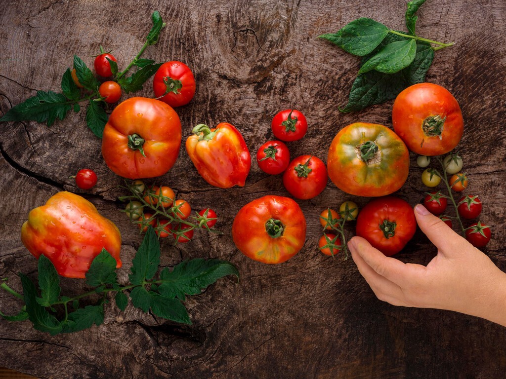 Verano al rojo: de una caja de tomates malagueños por 18.000 euros a que el mejor de España sea de Zaragoza 

➡️ directoalpaladar.com/consumidores/v…