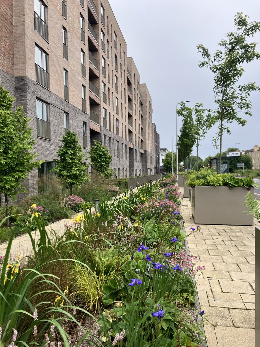 John Robson tweet media