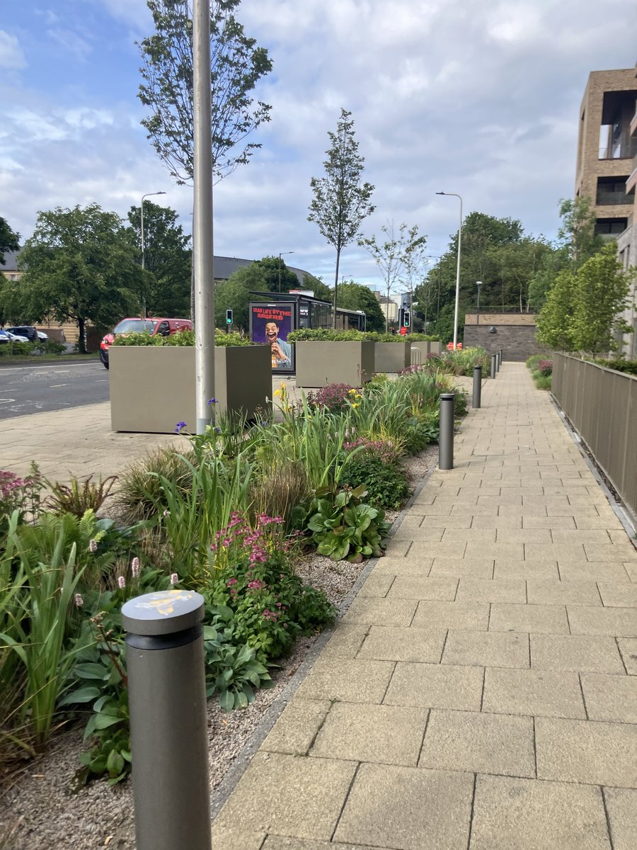 John Robson tweet media