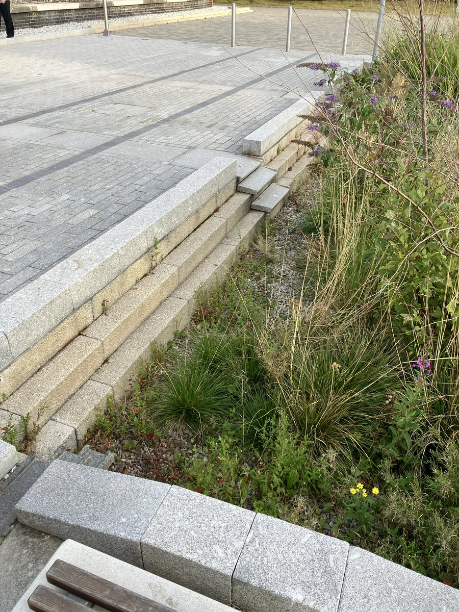 John Robson tweet media