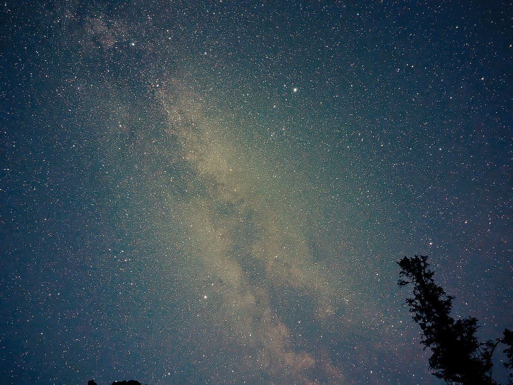 Optionnaire's tweet image. Not a bad image for a budget phone