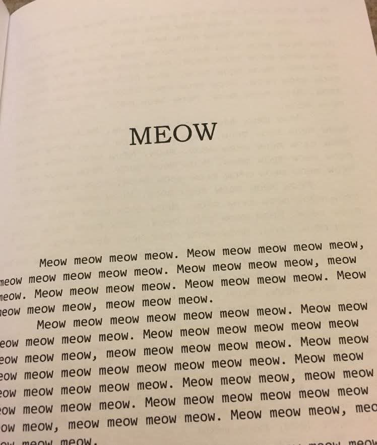 gabybara_'s tweet photo. The book                            The author https://t.co/BWdPPpjVW9