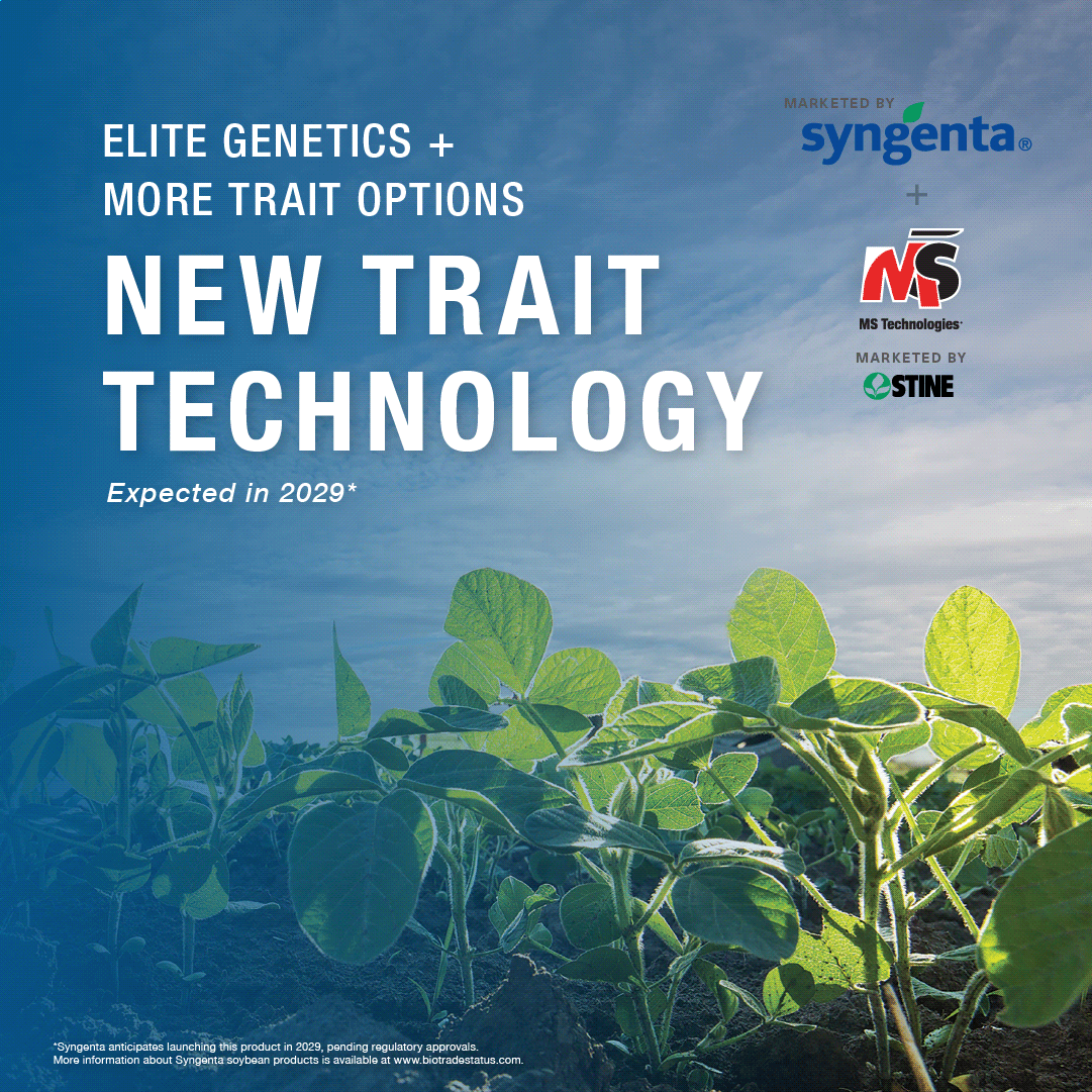 NK Seeds tweet media