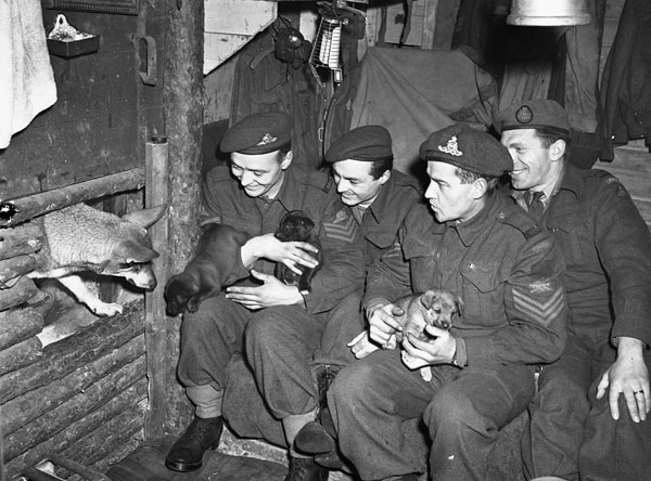 Happy National Dog Day! 🐶

Dogs have stood beside Canadian Armed Forces members as loyal companions, brave protectors, and morale boosters for years. Throughout our military history, they have left a lasting mark. 1/2