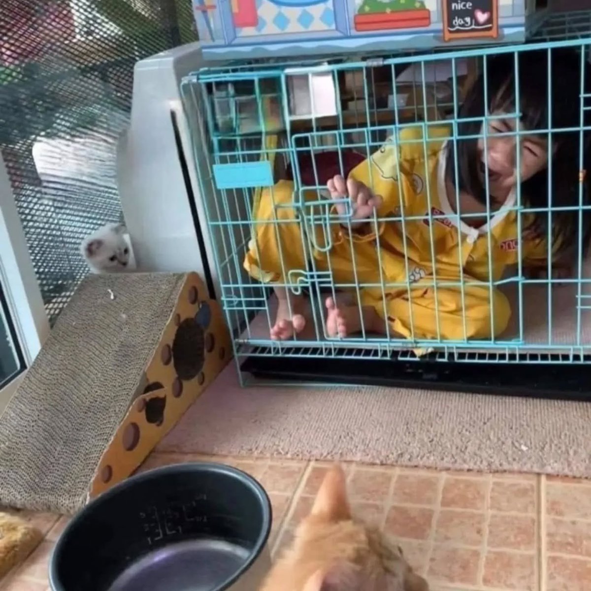 เจตเลี้ยงพี่อุ่น