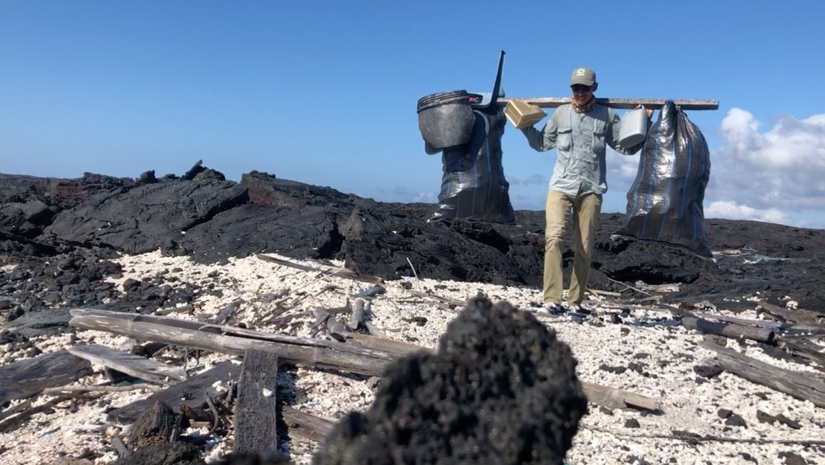 parquegalapagos's tweet photo. Guardaparques compartieron con tripulantes del National Geographic Endeavour II la experiencia de más de #20años del programa de limpieza costera de la #DPNG, en el marco del programa Guardianes del Mar, iniciativa de la empresa turística.

✅ Origen del programa
✅ Procedimientos en sitios remotos
✅ Islas intervenidas
✅ Importancia de los registros

🤝 Sumando esfuerzos para proteger el océano.