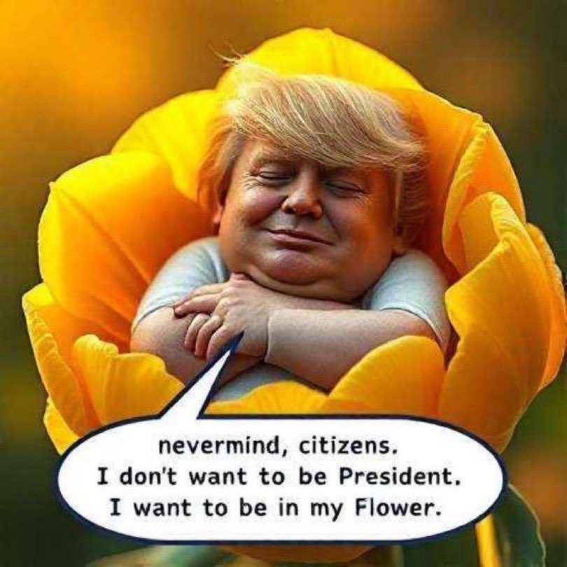 Been bringing this energy to work lately