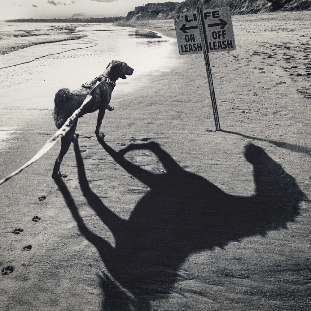 www8382's tweet image. ずるいというか
ズキズキと突き刺さるというか
なんかさーーー😩😩😩
大切に聴きます #WANIMA #OffLeash