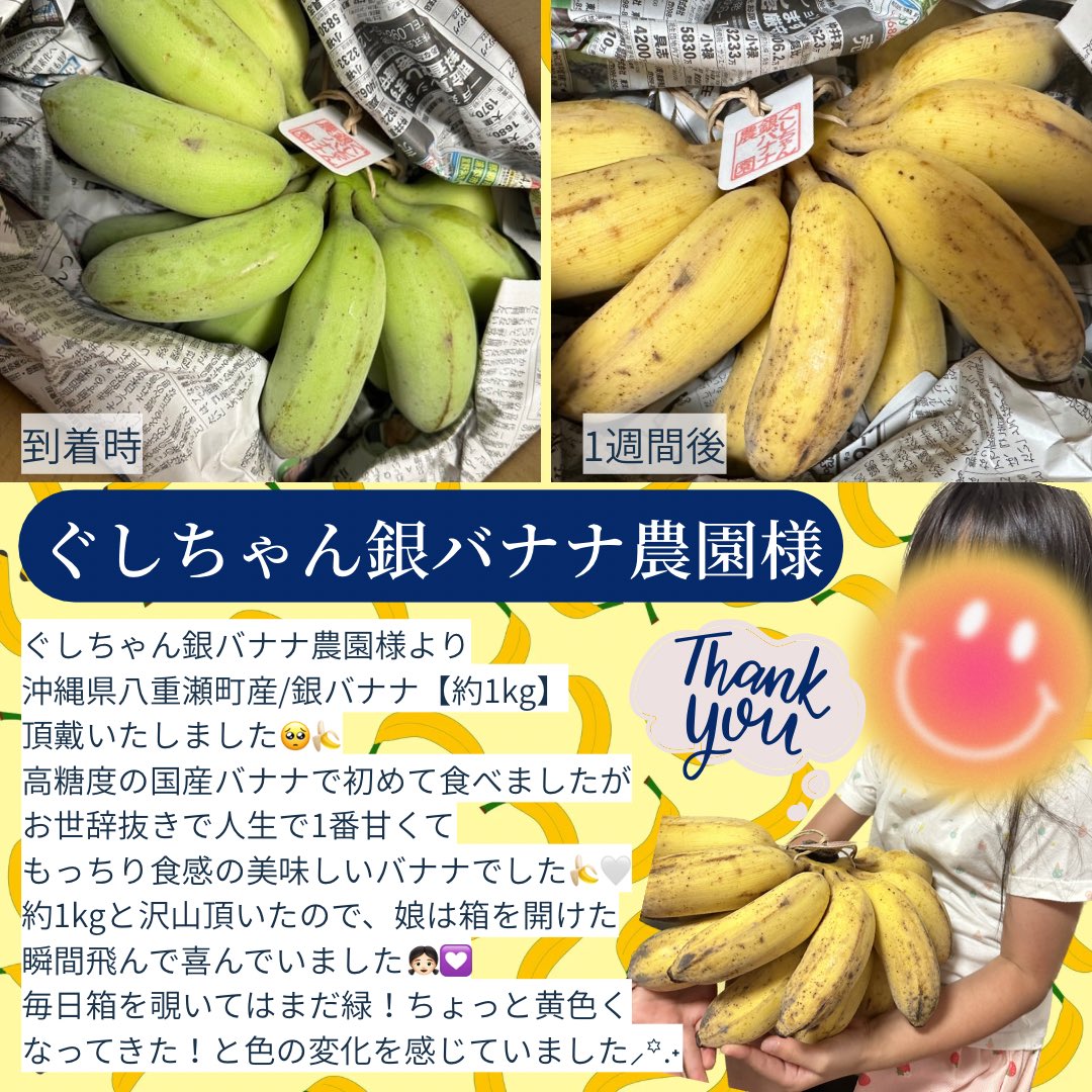 ぐしちゃん銀バナナ農園@沖縄🍌バナナ大好き (@gin_877) / Posts / X