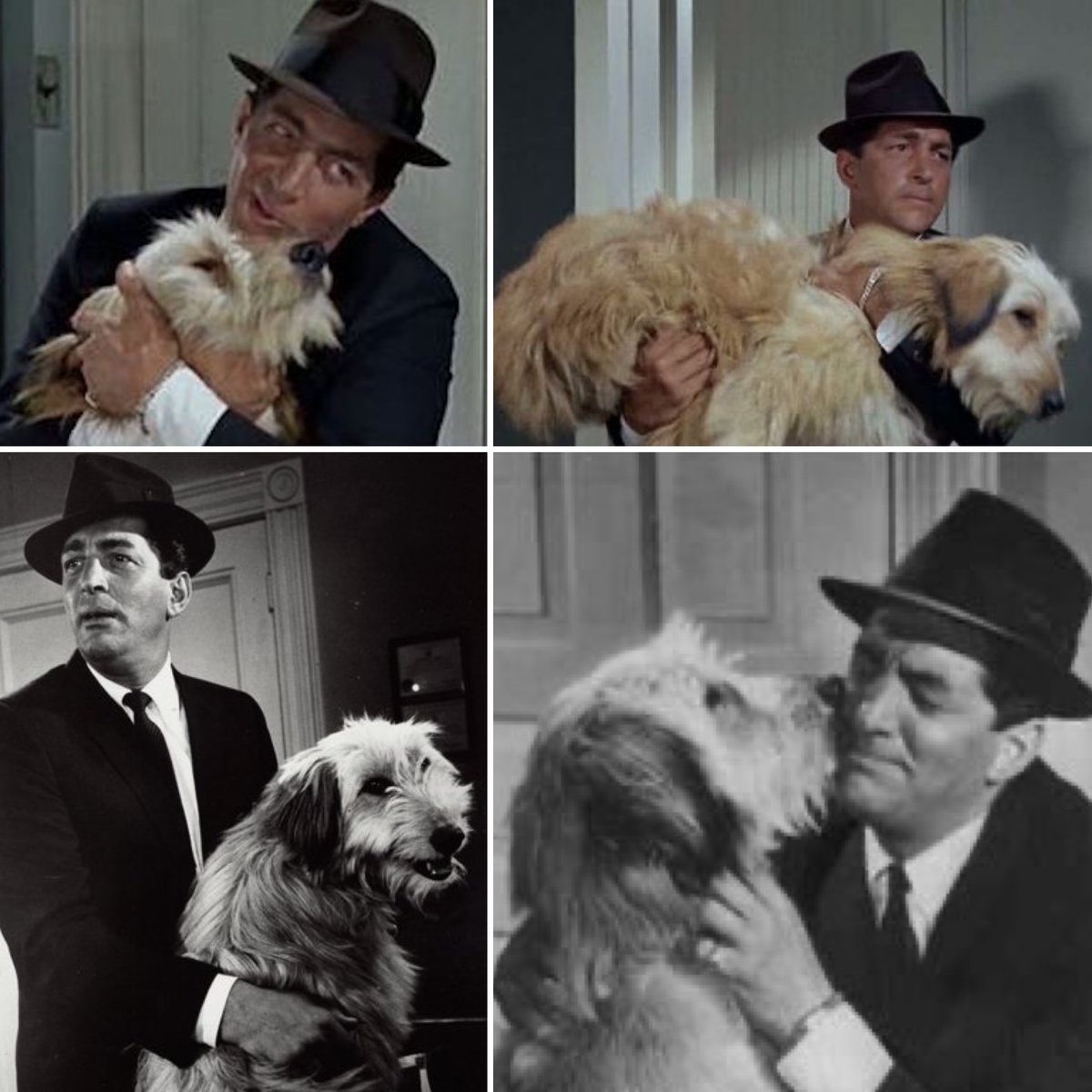 It's International Dog Day! 🥰Share with us a picture of your furry friends!