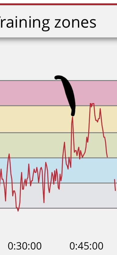 not that robert evans tweet media