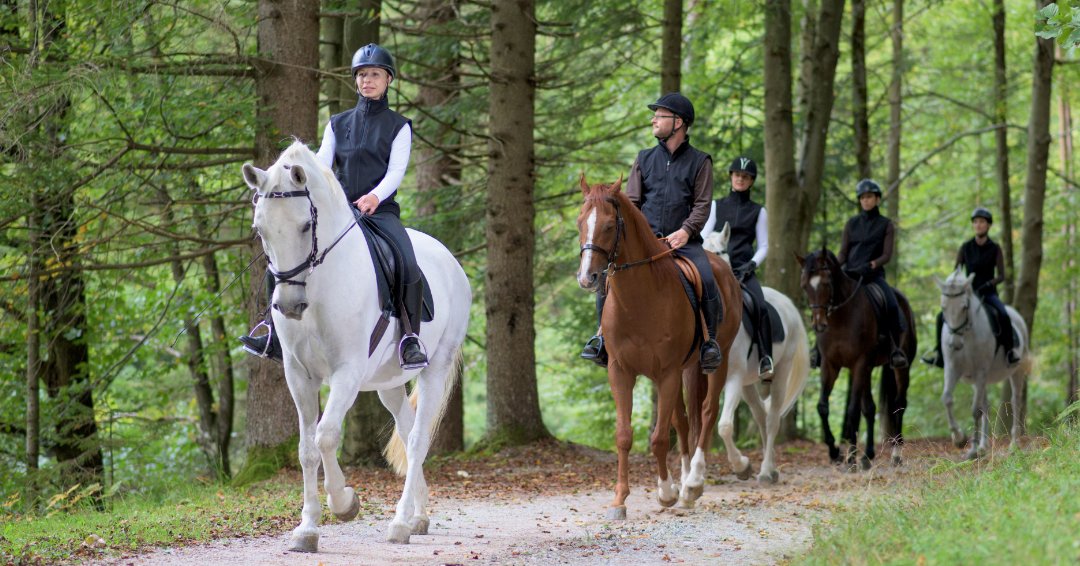 🌿 Discover Horseback Adventures at The Pine Hill Ranch 🌿
Imagine spending a sunny day exploring scenic trails on horseback at The Pine Hill Ranch.

Whether you’re interested in riding lessons, youth equestrian camps, or an immersive horse experience. thepinehillranch.com