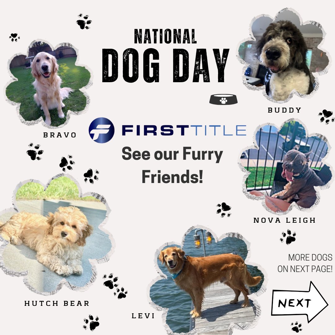 firsttitle's tweet image. 🐾🐶 Happy National Dog Day from the First Title family! Our team’s furry best friends bring us joy, love, and plenty of tail wags every day. Drop a 🐕 in the comments and show us your four-legged coworkers! 💙

#FirstTitle #RealEstate #Mortgage #MortgageBroker #Realtor 
1w