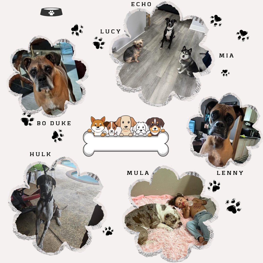 firsttitle's tweet image. 🐾🐶 Happy National Dog Day from the First Title family! Our team’s furry best friends bring us joy, love, and plenty of tail wags every day. Drop a 🐕 in the comments and show us your four-legged coworkers! 💙

#FirstTitle #RealEstate #Mortgage #MortgageBroker #Realtor 
1w