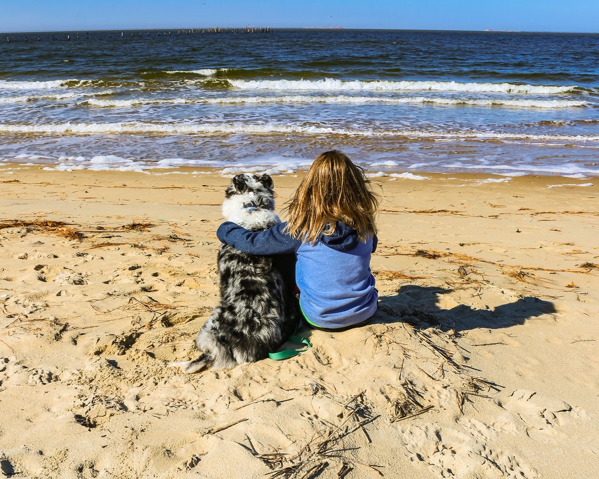 Love is in the air for our trail companions—Happy #DogDay! 🐾 Virginia State Parks are proudly #petfriendly. 🐕 #dogfriendly #bringfido #DouthatStatePark
Detailed regulations at dcr.virginia.gov/state-parks/pe….