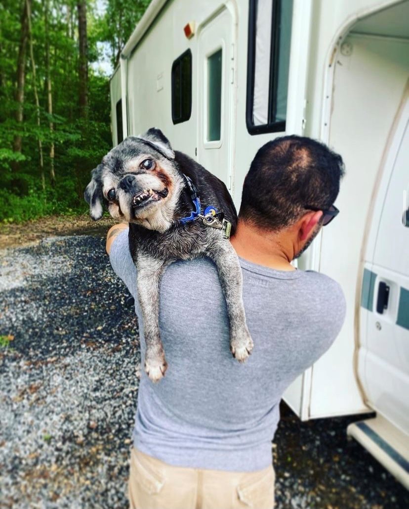 It’s the most pawsome day of the year - #InternationalDogDay! 🐾  We want to see your furry friends! Share a photo and tell us your pup’s name in the comments. Let’s celebrate our loyal companions together! 🐶❤️