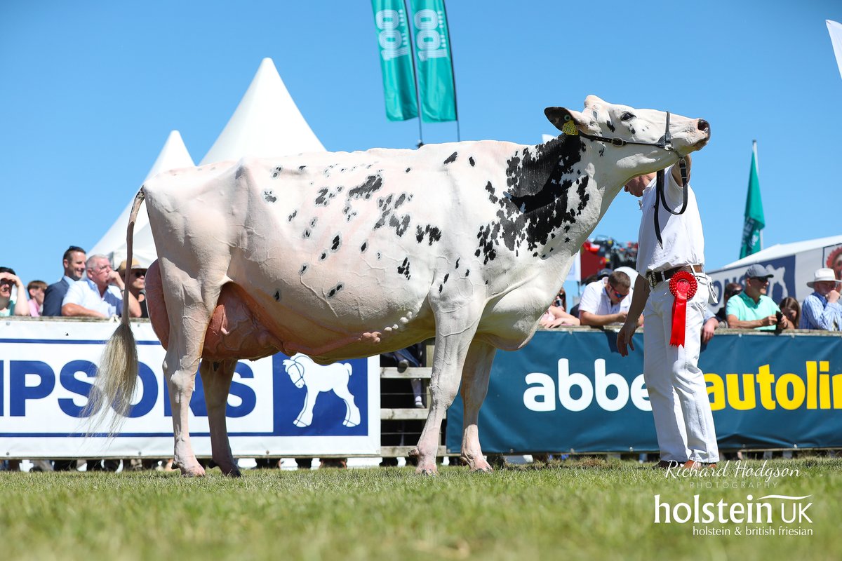 🔥 Just In: History Made at Virginia Show! 🔥
Annaghmore Fitz Atlee EX96 – a 6-year-old Holstein Friesian – just clinched the Diageo Baileys® Irish Champion Cow title… and trust us, this is one for the books! 🏆 bit.ly/4lMRH7w