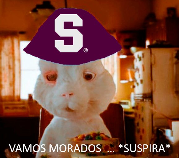 HOY JUEGA SAPRISSA 💜
